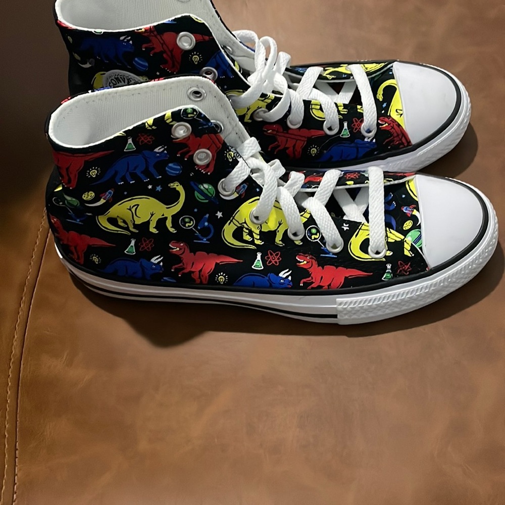 Converse Dinosaur High Tops